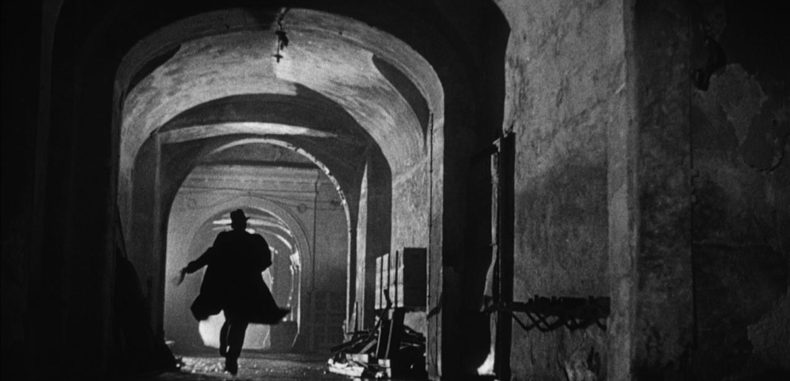 CineDogs: The Third Man (A Tribute)